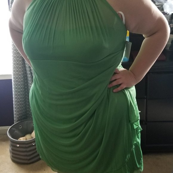 David's Bridal Clover Chiffon Bridesmaid's Dress - Picture 5 of 5